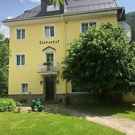 Hotel Lindenhof 3*