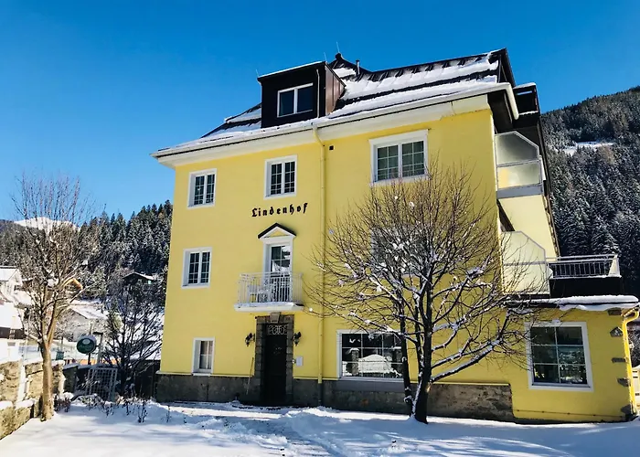 فندق Lindenhof 3*