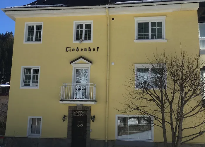 Lindenhof فندق