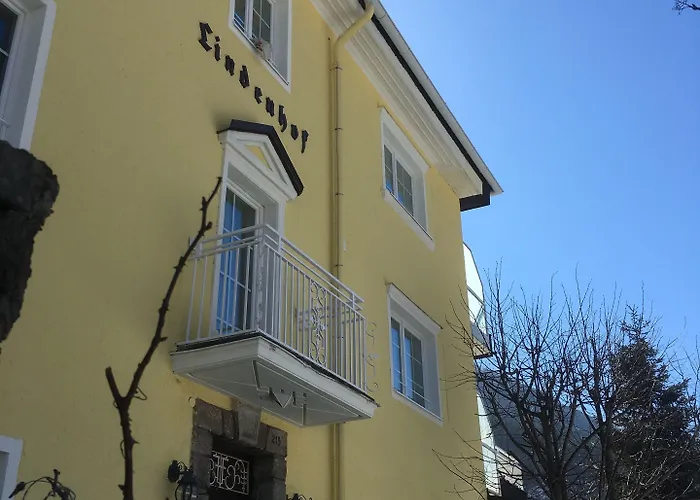 Lindenhof فندق